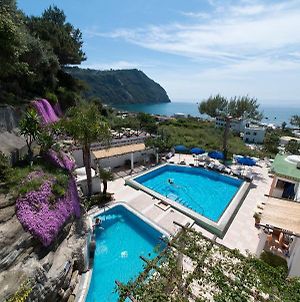 Hotel Villa Bianca Ischia Island Exterior photo
