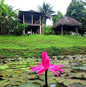 Bluff Hidden Paradise Guest House Bocas del Toro Exterior photo