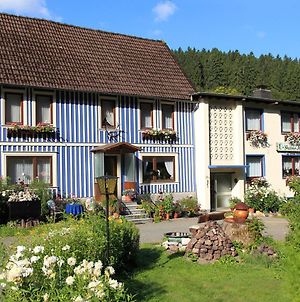 Haus Grune Insel - Ferienwohnungen Altenau  Exterior photo