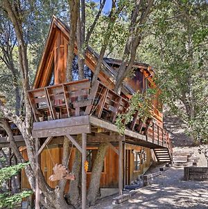 Updated Tree House Pine Mtn Club Cabin By Trails Villa Pine Mountain Club Exterior photo