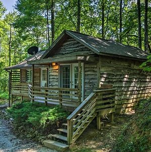 Cozy The Woodshop Cabin With Deck And Forest Views! Villa Robbinsville Exterior photo