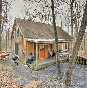 Updated Luray Cabin Near Dwtn And Shenandoah River! Villa Exterior photo