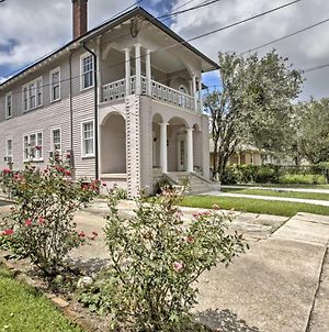 Traditional New Orleans Apt With Porch In River Bend Apartment Exterior photo