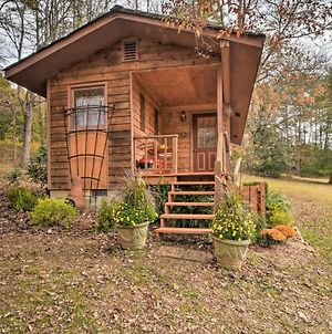 Forest Fantasy Smoky Mtn Escape Less Than 1 Mi To River! Brasstown Exterior photo