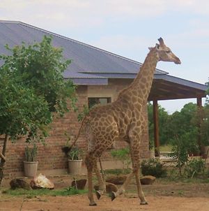 Mkhiweni Villa At Dombeya Wildlife Estate Mbabane Exterior photo