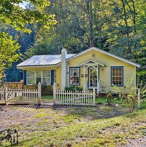 Mountain Cottage With Views Near Tail Of The Dragon! Fontana Dam Exterior photo