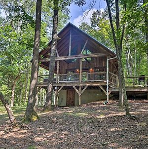 Romantic Asheville Area Cabin With Deck And Hot Tub! Leicester Exterior photo