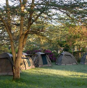 Burch'S Resort Naivasha Camping Exterior photo