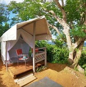 Camping Para Dos - A Escoger Segun Disponibilidad De Caseta O Cabana Caguas Exterior photo