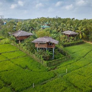 The Hideout Sigiriya Villa Exterior photo