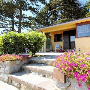 Comfortable Home With Terrace, Located In Nature Salecchio Exterior photo