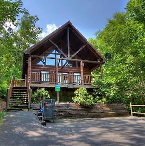 A Secluded Bearadise #247 Villa Sevierville Exterior photo