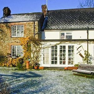 Coles Cottage Holsworthy Exterior photo