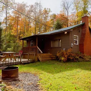 Salmon Creek Cabin - Allegheny National Forest Marienville Exterior photo