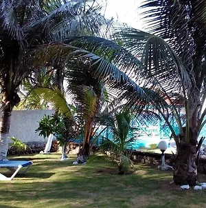Chrisanns Beach Resort Ocho Rios Exterior photo