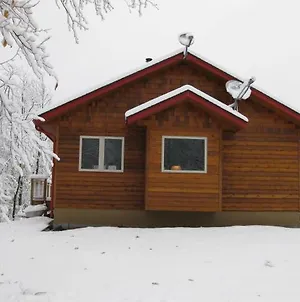 The Bear Cabin Villa Ironwood Exterior photo