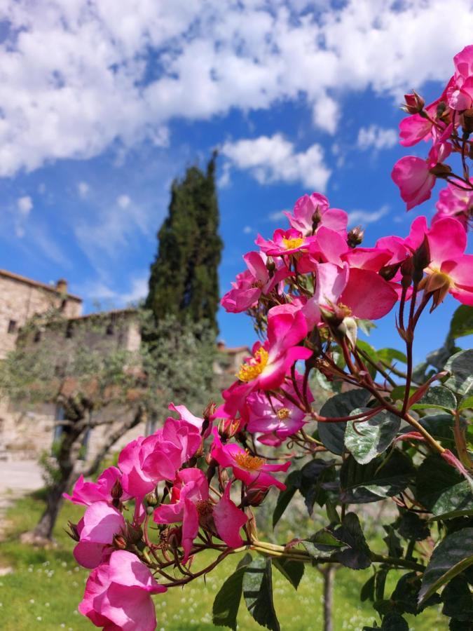 Вилла Agriturismo San Sano Гайоле-ин-Кьянти Экстерьер фото